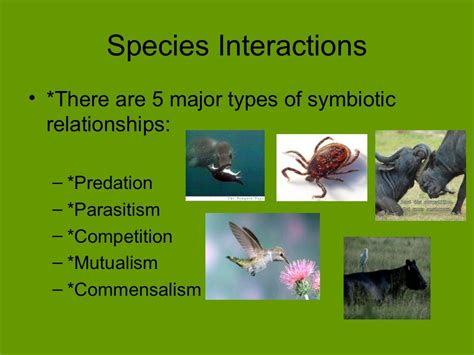 Ecology: Symbiotic Relationships