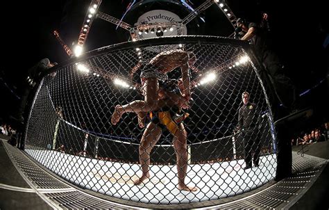 MMA, UFC, Cage , bagian спорт, ufc cage Wallpaper HD | Pxfuel