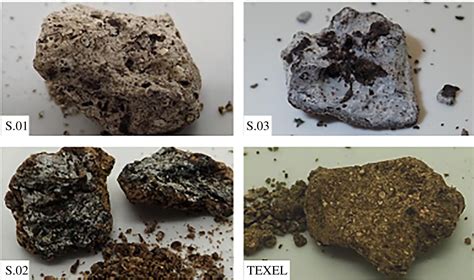 Sperm Whales Confirmed as the Origin of Jetsam Ambergris | The ...