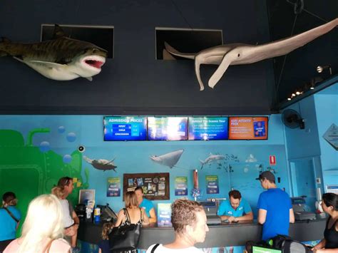 SEA LIFE Sunshine Coast Aquarium Cheap Tickets - Mooloolaba, QLD