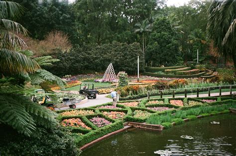 Roma Street Parklands on 35mm : r/brisbane