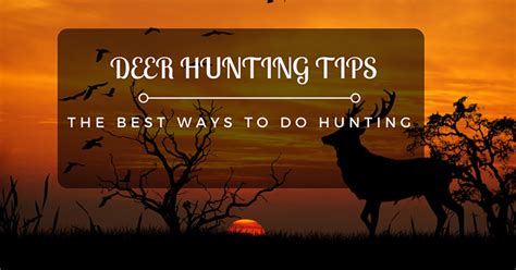 Deer Hunting Tips: The Best Ways To Do Hunting - Hunting Is A Sport ...