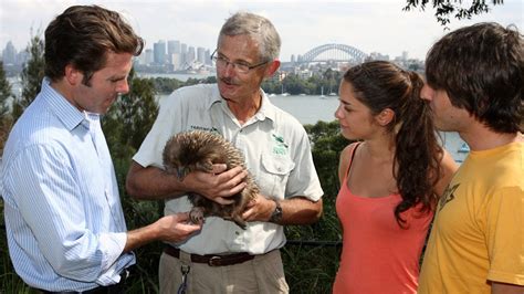 Roar and Snore at Taronga Zoo Sydney - FirstClass Travel Specialist