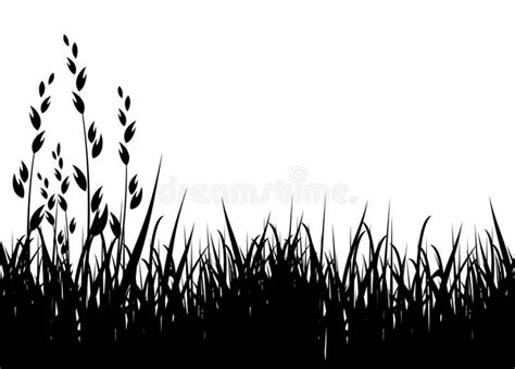 Grass vector silhouette. Grass vector illustration / horizontal / black silhouet #Sponsored , # ...