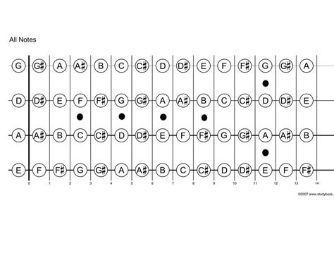 Printable Fretboard Diagram : r/basslessons