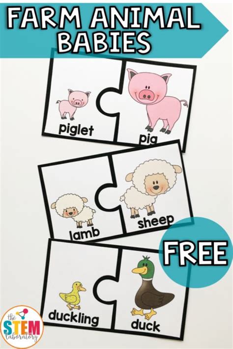 Farm Animal Puzzles | Farm theme preschool, Farm animals preschool, Farm preschool