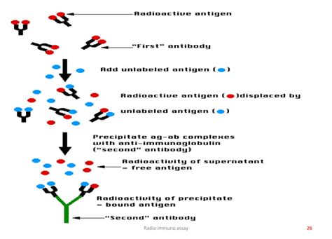 Radioimmunoassay