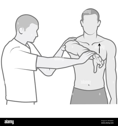 The O'Brien Test is a diagnostic examination for shoulder labral tears. It involves resisted arm ...