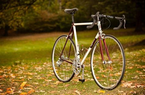 3 Main Types of Bikes You Can Enjoy - QuirkyByte