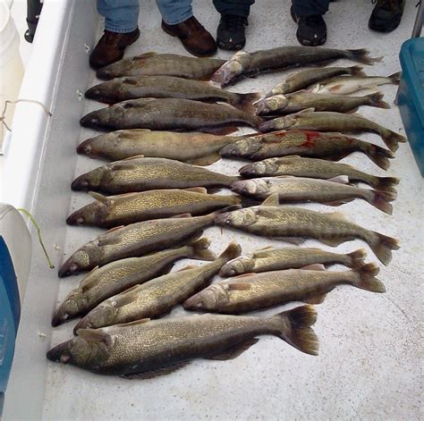 Great Lakes Fishing Charters LLC