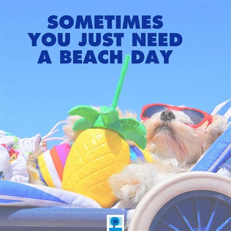 Beach Memes That Will Have You in the Topsail Vacation Mood | Vacation mood, Beach memes ...