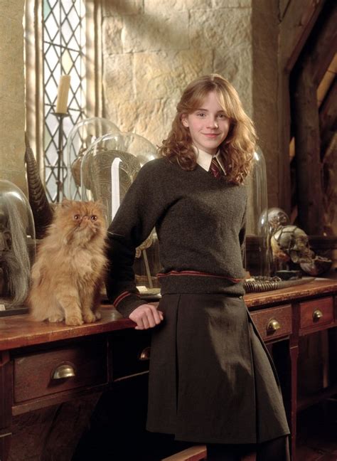 Cat Hermione Granger -Crookshanks | Emma watson harry potter, Harry ...