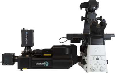 Confocal Microscopes | Nikon Microscope Products | Nikon Instruments Inc.