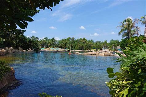 Tad's Rad Discovery Cove Dolphin Swim Experience & FAQ