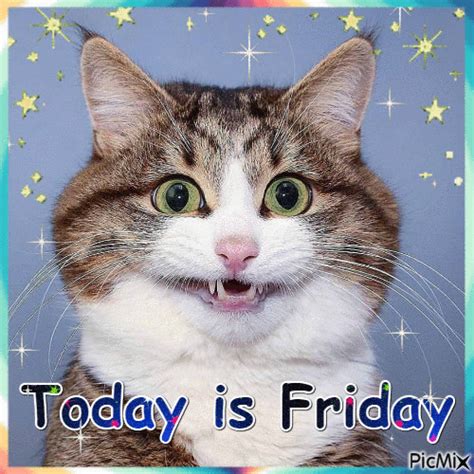 Smiling Kitty - Today Is Friday Pictures, Photos, and Images for ...