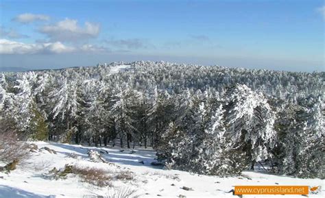 Troodos mountains | Cyprus Island