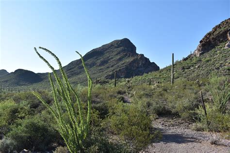 TUCSON MOUNTAINS HIKING TRAILS - Explore the Tucson Mountains