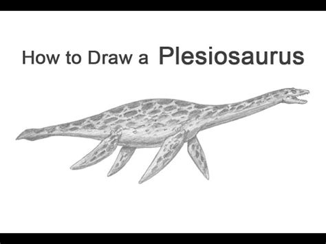 How to Draw a Plesiosaurus - YouTube