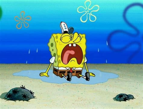 Cry 😭💔 | Spongebob faces, Spongebob funny, Spongebob