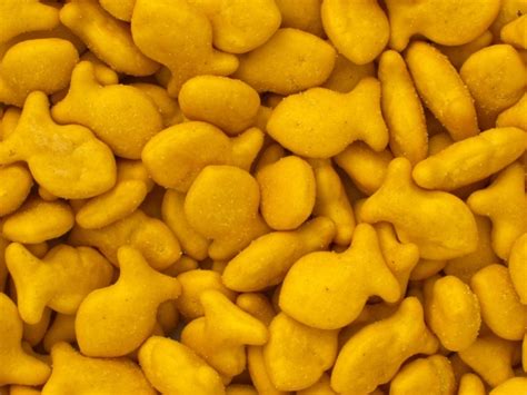 Goldfish Crackers Free Stock Photo - Public Domain Pictures