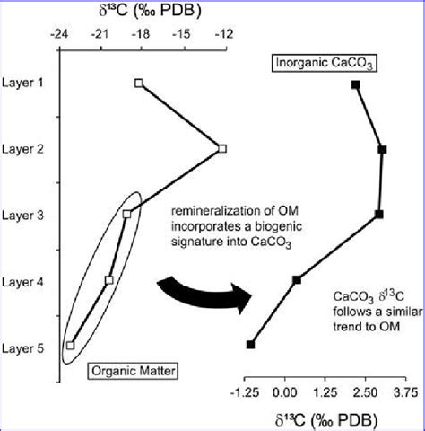 Carbon isotope profiles. Organic (open squares) and inorganic (filled... | Download Scientific ...