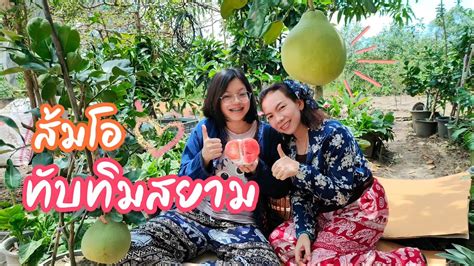 ส้มโอทับทิมสยาม สีแเดงหวาน ทานอร่อย - YouTube