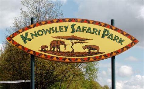 Half Price Entry To Knowsley Safari Park February Half Term 2015