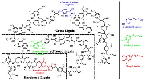 Lignin Structure