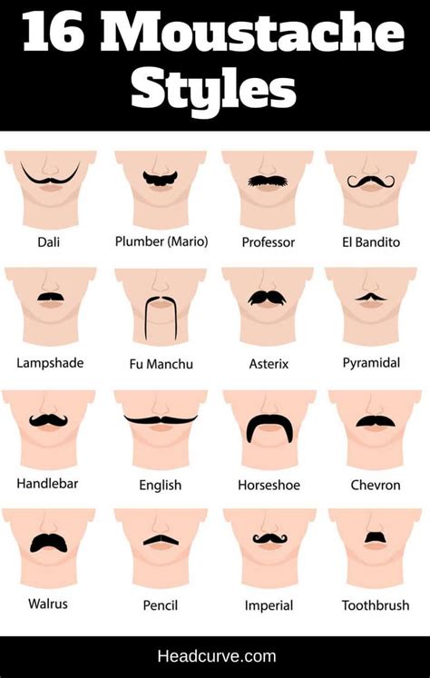 16 Moustache Styles and Names (Chart and Illustrations) – Headcurve