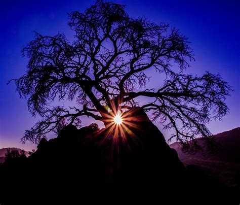 Joshua Tree National Park Sunrise | Behance