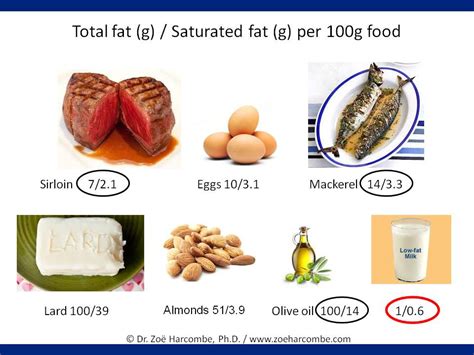 Foods With Low Saturated Fat Content - Tiara Transformation Review