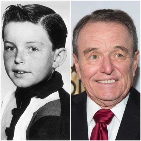 'Leave It to Beaver': What's 'Beaver Cleaver' Actor Jerry Mathers' Net Worth?