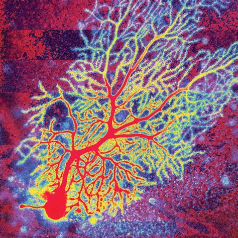 Chemistry in Pictures: Branching into art