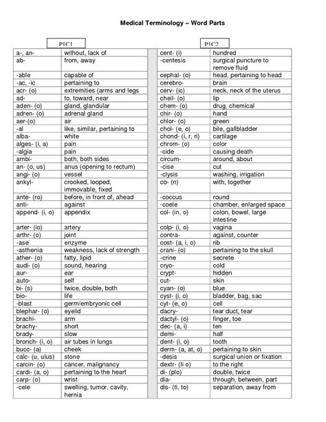 Basics Of Medical Terminology