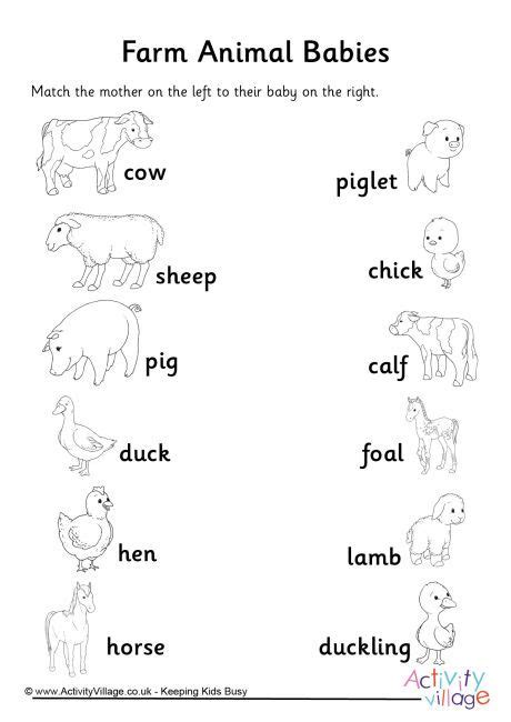 Animals And Their Babies Worksheet Printable