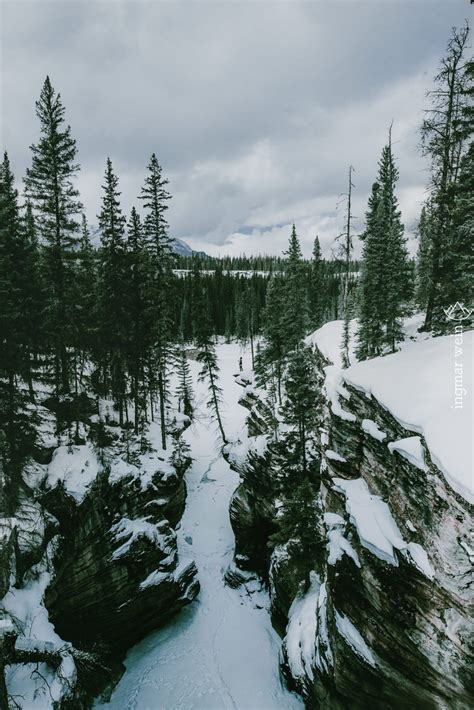 10 Reasons To Travel Jasper National Park During Winter – Ingmar Wein Photography