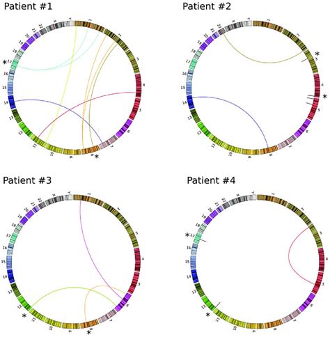 Patient-specific chromosomal rearrangements represented as... | Download Scientific Diagram