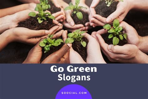 389 Go Green Slogans To Help Save Our Planet Earth - Soocial