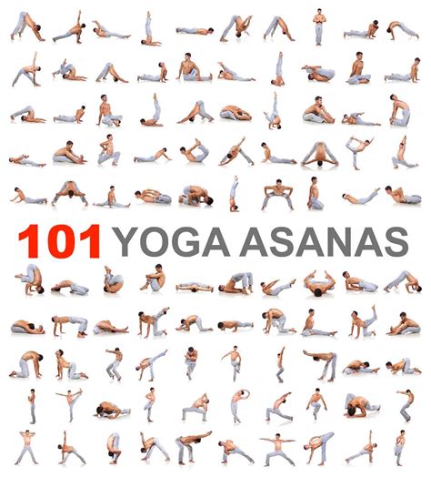 Beginner Yoga Poses Chart: A Visual Reference of Charts | Chart Master