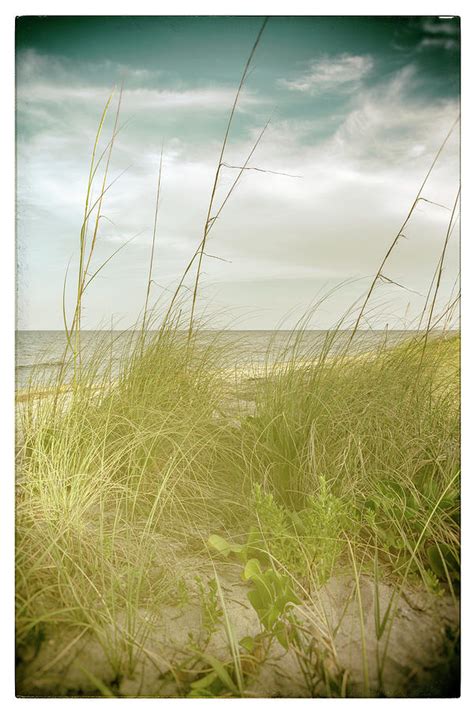 Sand Dune On Beach Digital Art by Laura Diez - Fine Art America