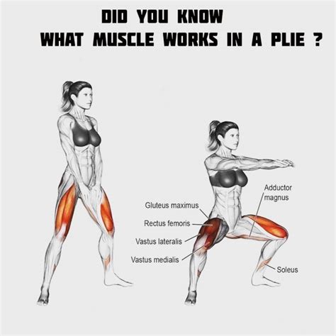 How to Do Plie Squats: Technique and Features of the Exercise