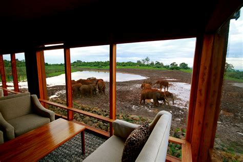 The Ark Kenya - Wildlife Spotting From Your Balcony In The Aberdare National Park