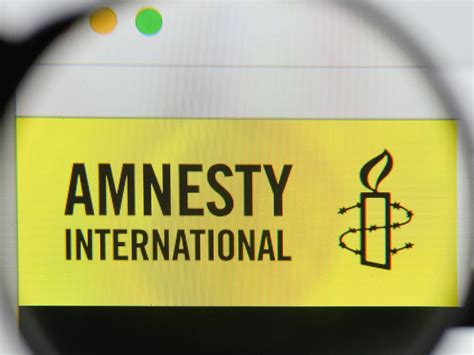 Amnesty Definition