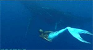 Hannah Mermaid Swimming GIF - Find & Share on GIPHY