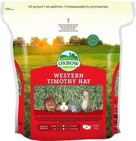 Oxbow Western Timothy Hay Small Animal Food, 9-lb bag - Chewy.com