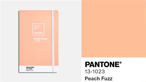 What is the Pantone color of the year? Peach Fuzz named color of the year 2024; What is PANTONE ...