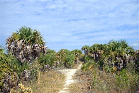 Trail - Rotary Park - Cape Coral - Florida - 09 February 2010 - a photo on Flickriver