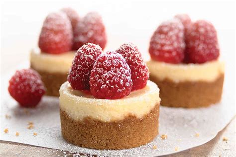 Mini Cheesecakes Recipe | King Arthur Flour