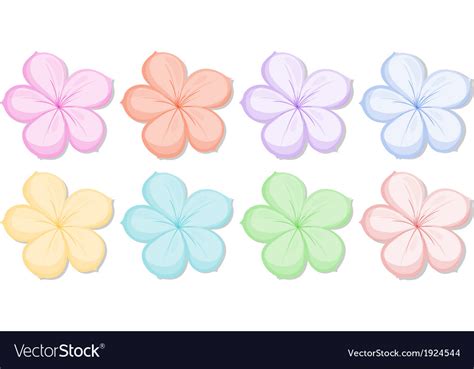 Eight five-petal flowers in different colors Vector Image