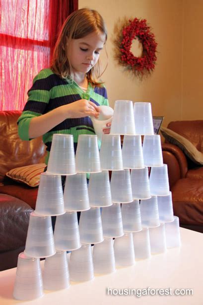 Cup Stacking | Housing a Forest